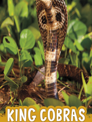 cover image of King Cobras
